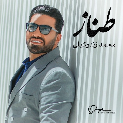 دانلود آهنگ جدید محمد زندوکیلی به نام طناز