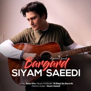 دانلود آهنگ جدید سیام سعیدی به نام برگرد